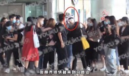 绯闻爆料狗仔视频大全,绯闻爆料狗仔视频大揭秘